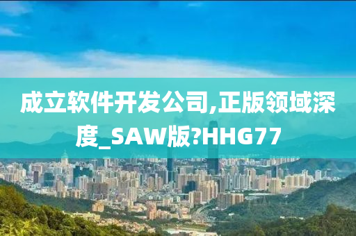 成立软件开发公司,正版领域深度_SAW版?HHG77