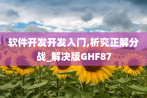 软件开发开发入门,析究正解分战_解决版GHF87