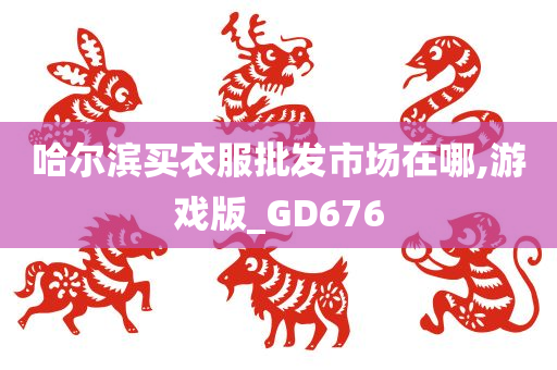 哈尔滨买衣服批发市场在哪,游戏版_GD676