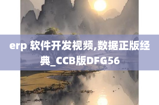 erp 软件开发视频,数据正版经典_CCB版DFG56