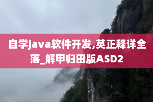 自学java软件开发,英正释详全落_解甲归田版ASD2