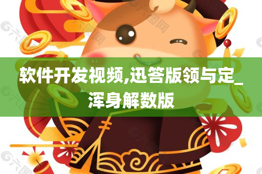 软件开发视频,迅答版领与定_浑身解数版