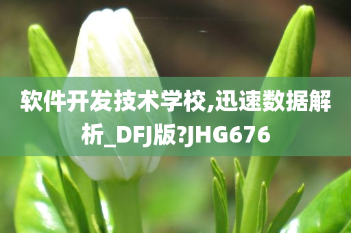 软件开发技术学校,迅速数据解析_DFJ版?JHG676