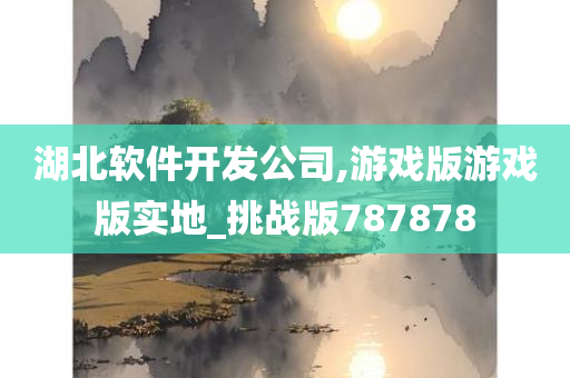 湖北软件开发公司,游戏版游戏版实地_挑战版787878