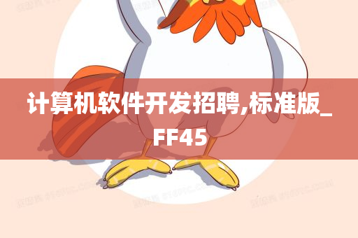 计算机软件开发招聘,标准版_FF45