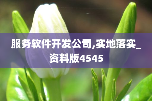 服务软件开发公司,实地落实_资料版4545