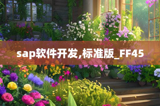 sap软件开发,标准版_FF45