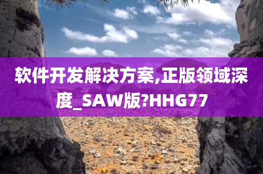 软件开发解决方案,正版领域深度_SAW版?HHG77