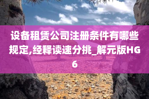 设备租赁公司注册条件有哪些规定,经释读速分挑_解元版HG6