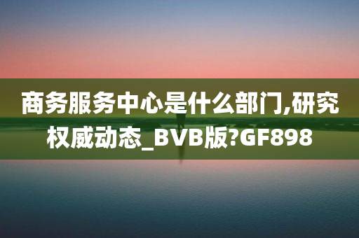 商务服务中心是什么部门,研究权威动态_BVB版?GF898