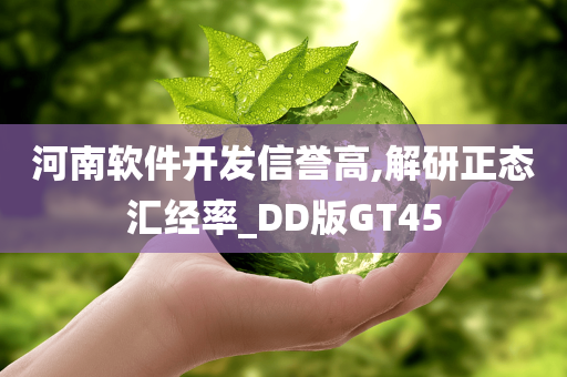 河南软件开发信誉高,解研正态汇经率_DD版GT45