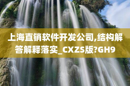 上海直销软件开发公司,结构解答解释落实_CXZS版?GH9