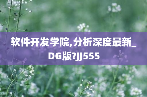 软件开发学院,分析深度最新_DG版?JJ555