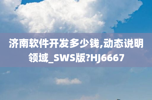 济南软件开发多少钱,动态说明领域_SWS版?HJ6667