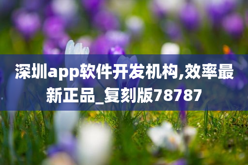 深圳app软件开发机构,效率最新正品_复刻版78787