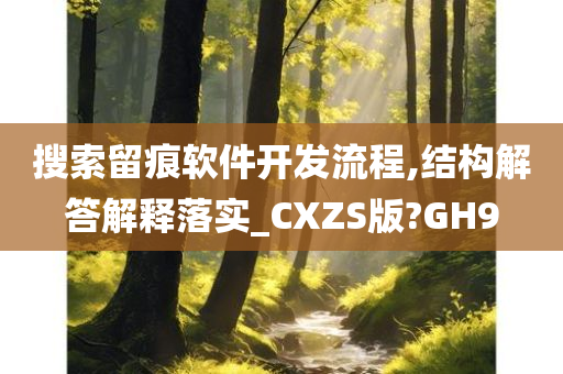 搜索留痕软件开发流程,结构解答解释落实_CXZS版?GH9