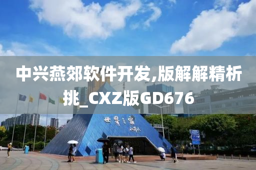 中兴燕郊软件开发,版解解精析挑_CXZ版GD676