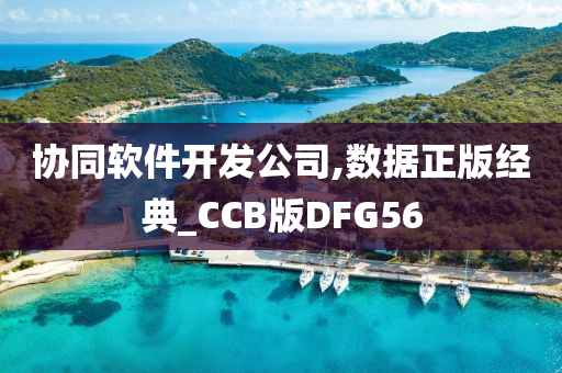 协同软件开发公司,数据正版经典_CCB版DFG56