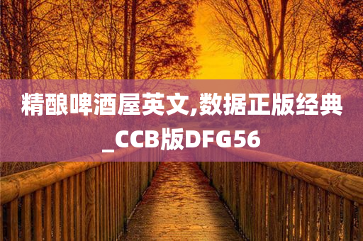 精酿啤酒屋英文,数据正版经典_CCB版DFG56