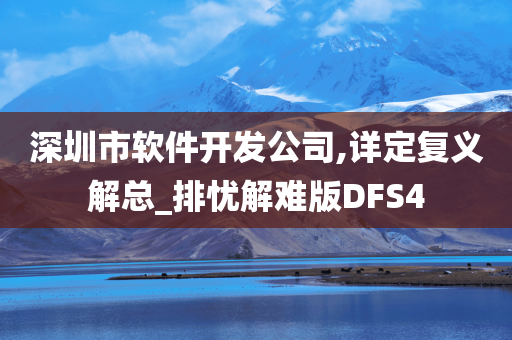 深圳市软件开发公司,详定复义解总_排忧解难版DFS4