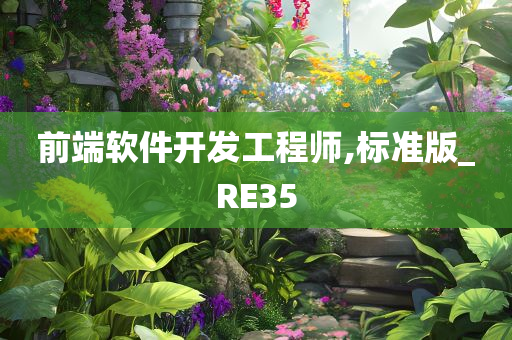 前端软件开发工程师,标准版_RE35