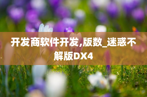 开发商软件开发,版数_迷惑不解版DX4