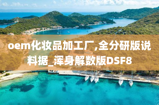 oem化妆品加工厂,全分研版说料据_浑身解数版DSF8