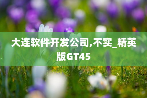 大连软件开发公司,不实_精英版GT45