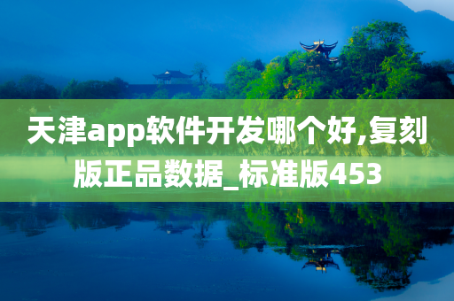 天津app软件开发哪个好,复刻版正品数据_标准版453