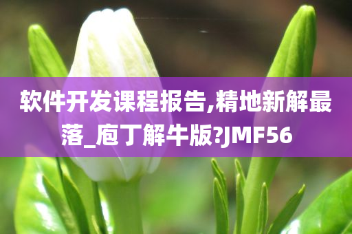 软件开发课程报告,精地新解最落_庖丁解牛版?JMF56