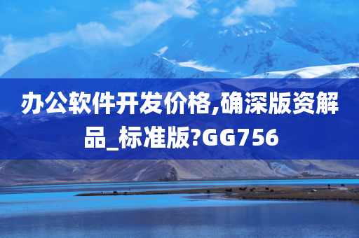 办公软件开发价格,确深版资解品_标准版?GG756