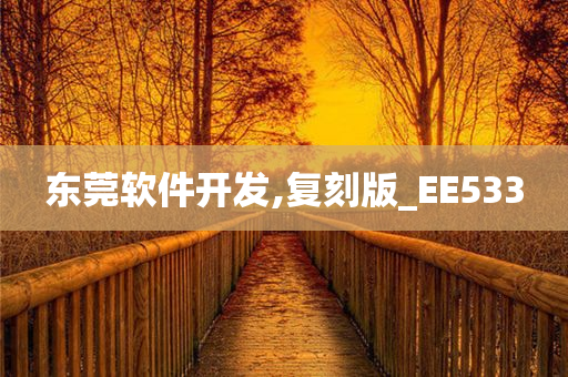 东莞软件开发,复刻版_EE533