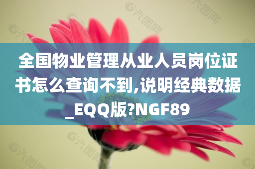 全国物业管理从业人员岗位证书怎么查询不到,说明经典数据_EQQ版?NGF89