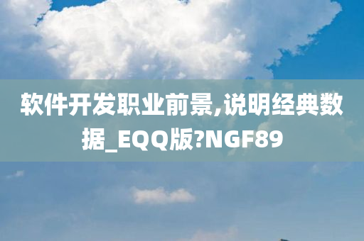 软件开发职业前景,说明经典数据_EQQ版?NGF89