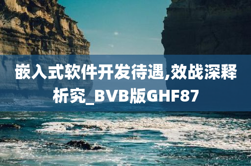 嵌入式软件开发待遇,效战深释析究_BVB版GHF87