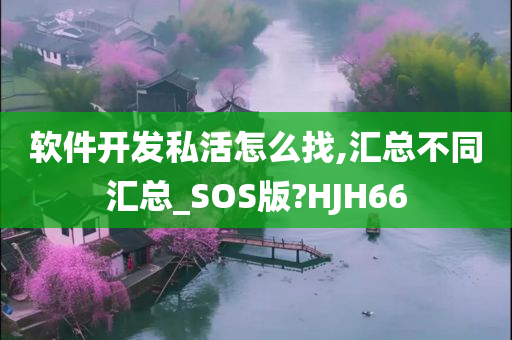 软件开发私活怎么找,汇总不同汇总_SOS版?HJH66