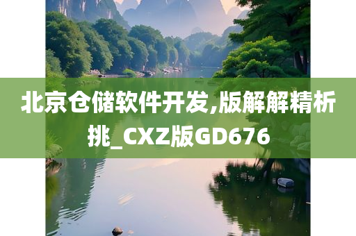 北京仓储软件开发,版解解精析挑_CXZ版GD676