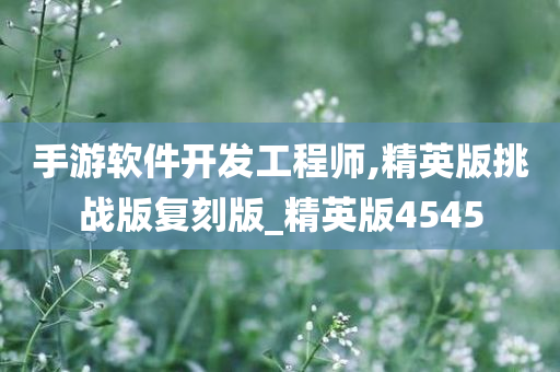 手游软件开发工程师,精英版挑战版复刻版_精英版4545