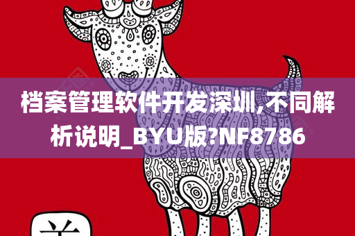 档案管理软件开发深圳,不同解析说明_BYU版?NF8786