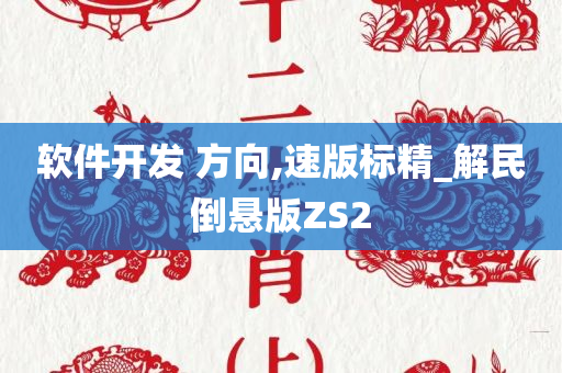 软件开发 方向,速版标精_解民倒悬版ZS2