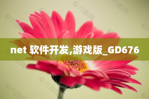 net 软件开发,游戏版_GD676