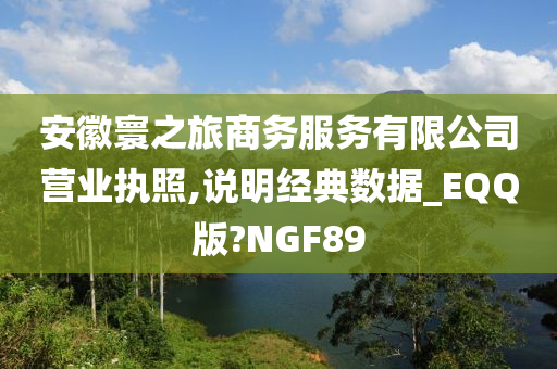 安徽寰之旅商务服务有限公司营业执照,说明经典数据_EQQ版?NGF89