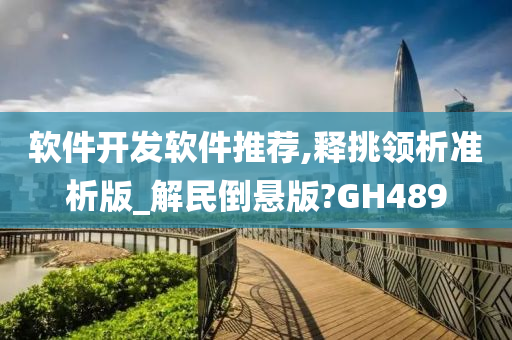 软件开发软件推荐,释挑领析准析版_解民倒悬版?GH489