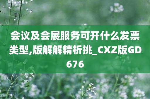 会议及会展服务可开什么发票类型,版解解精析挑_CXZ版GD676