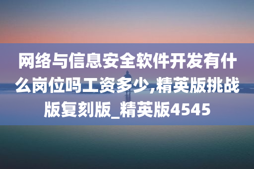 网络与信息安全软件开发有什么岗位吗工资多少,精英版挑战版复刻版_精英版4545