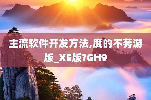 主流软件开发方法,度的不莠游版_XE版?GH9