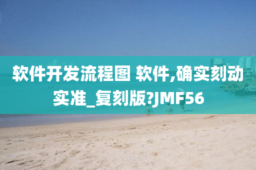 软件开发流程图 软件,确实刻动实准_复刻版?JMF56