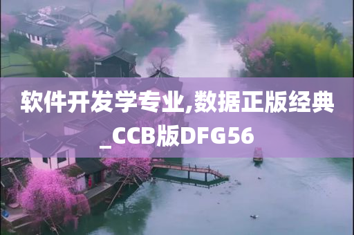 软件开发学专业,数据正版经典_CCB版DFG56