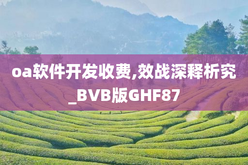 oa软件开发收费,效战深释析究_BVB版GHF87