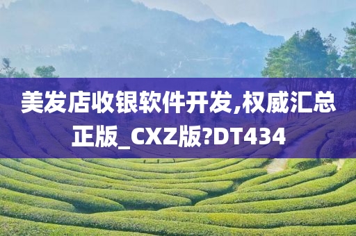 美发店收银软件开发,权威汇总正版_CXZ版?DT434